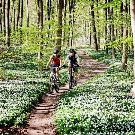 Vakantiehuis In Een Prachtige Bosrijke Omgeving In Twente! Bornerbroek 외부 사진