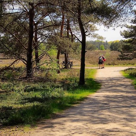 Vakantiehuis In Een Prachtige Bosrijke Omgeving In Twente! Bornerbroek 외부 사진