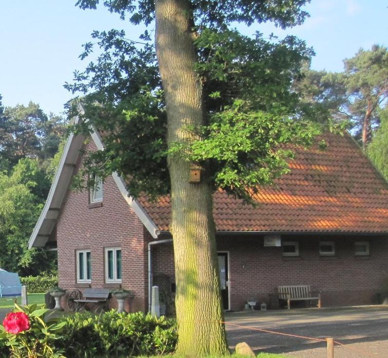 Vakantiehuis In Een Prachtige Bosrijke Omgeving In Twente! Bornerbroek 외부 사진